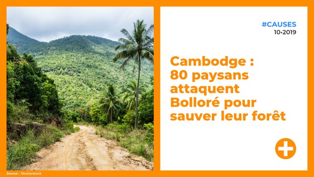 Cambodge : 80 paysans attaquent Bolloré pour sauver leur forêt