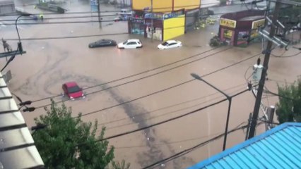 '미탁'이 할퀸 자리...제보로 본 시간대별 태풍 피해 / YTN