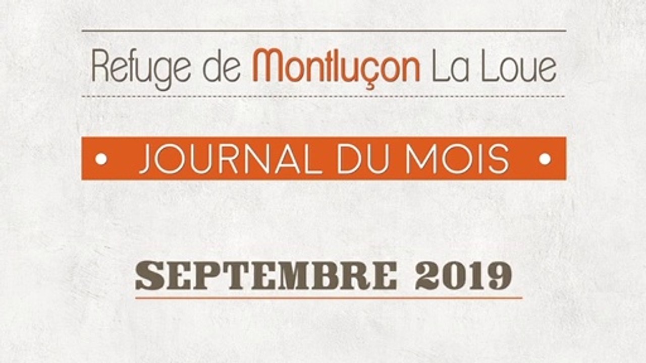Un mois au refuge SPA de Montluçon : septembre 2019