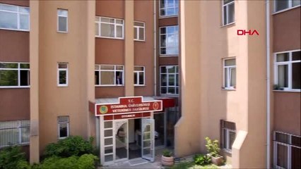 İstanbul üniversitesi cerrahpaşa'nın havadan görüntüleri