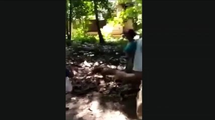 கேரளாவில்!..தந்தையை தாக்கிய குடிகார மகன் அதிரடி கைது.. வீடியோ