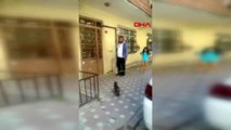 İstanbul-yavruları tahliye edilen binada kalan kedinin yardımına mahalleli koştu