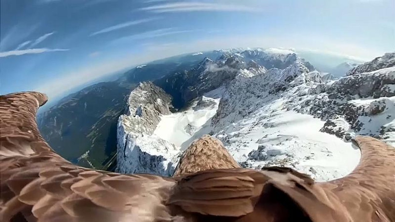 Einzigartige Bilder: Adler fliegt mit Kamera über die Alpen