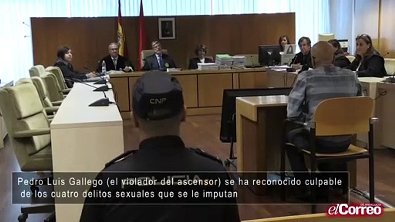 Pedro Luis Gallego se ha reconocido culpable de los cuatro delitos sexuales que se le imputan
