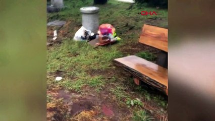 Güney Kore’yi Mitag Tayfunu vurdu: 7 ölü