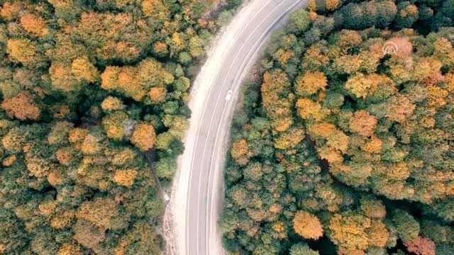 Domaniç Dağları'nda sonbaharın ilk renkleri
