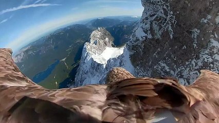 Voo de águia sobre os Alpes