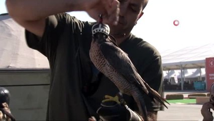 4'ncü Etnospor Kültür Festivali başladı