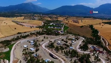 Büyükşehir bir yılda 10 bin 200 sokak hayvanına müdahale etti