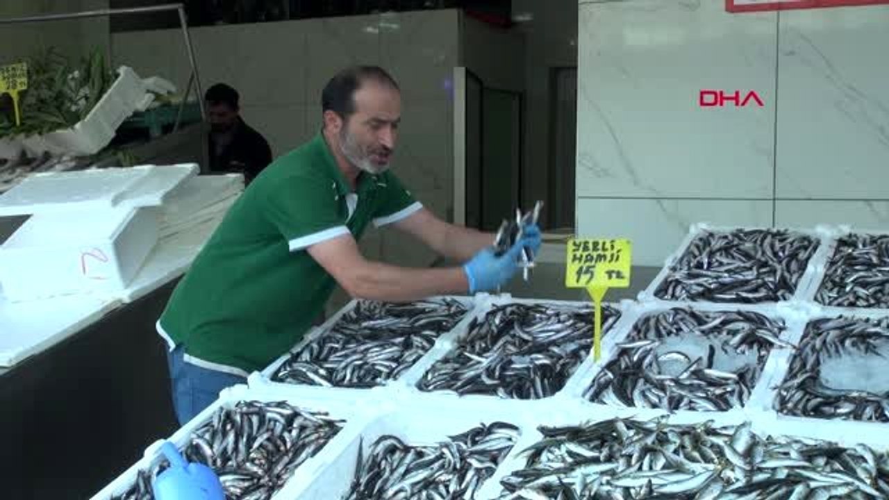 Samsun karadenizli balıkçılar, havaların soğumasını bekliyor