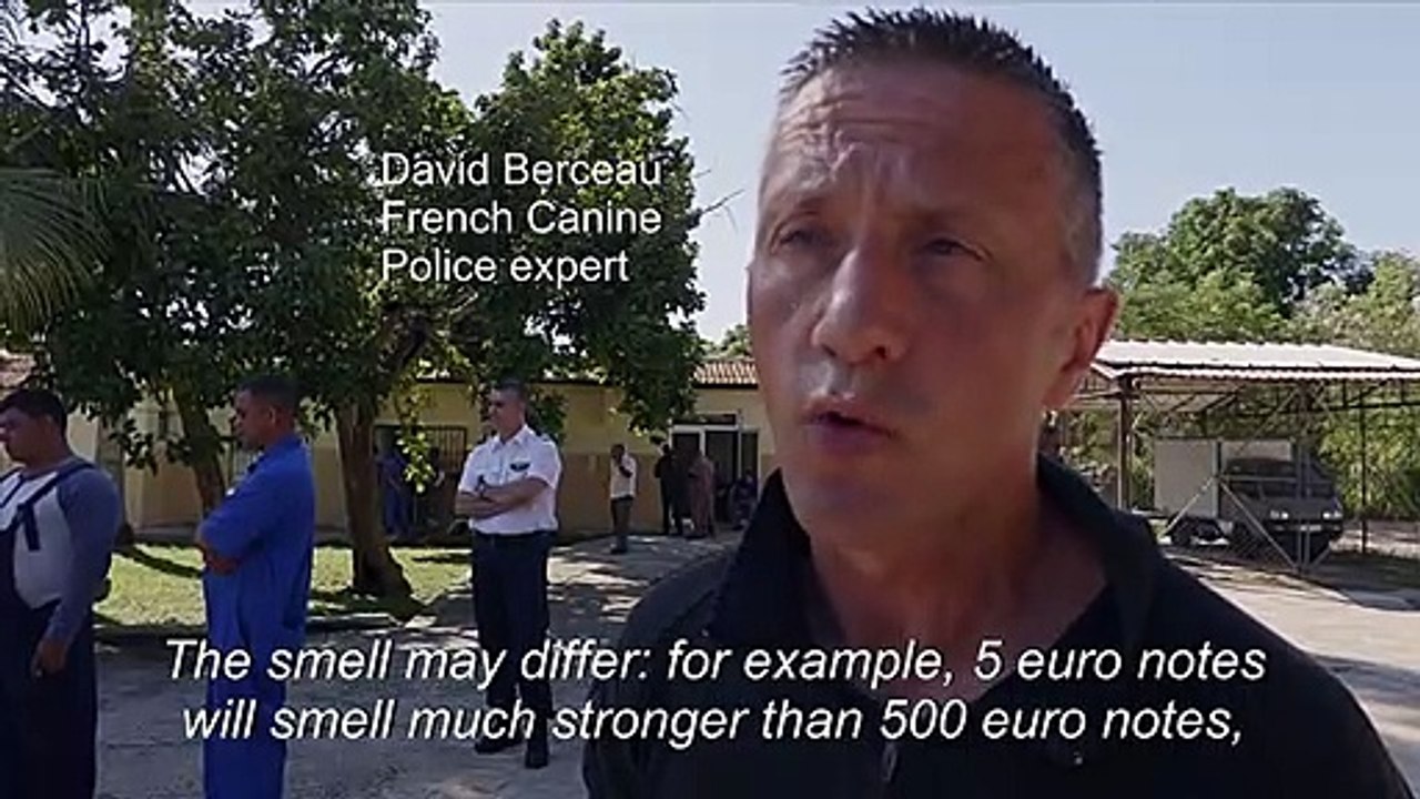 France trains Cuban dogs in the art of sniffing cash