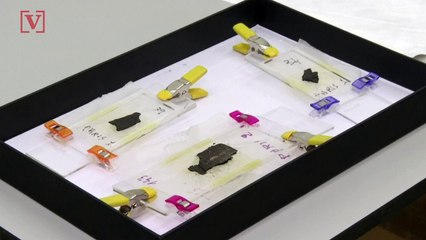 Next Chapter! Scientists to use Light Brighter Than the Sun to Analyze Ancient Scrolls