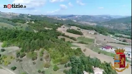 Apicoltore arrestato: coltivava marijuana tra gli alveari | Notizie.it