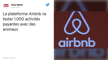 Airbnb lance un nouveau service de tourisme animalier « respectueux »