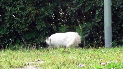 Aug 21 2019 F8