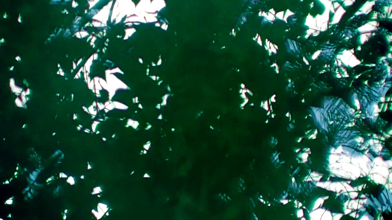 Aug 22 2019 DL1