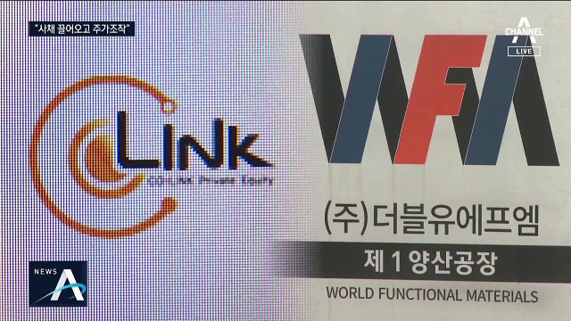 조국 5촌 조카, 사채 빌려서 회사 인수…주식 팔고 ‘먹튀’ 정황