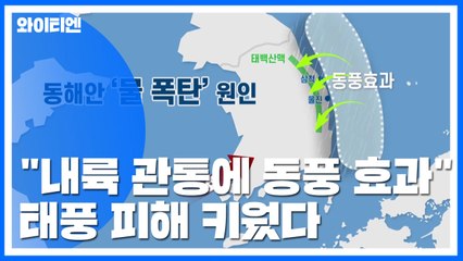 태풍 피해 왜 컸나?..."내륙 관통에 동풍 효과 겹쳤다" / YTN