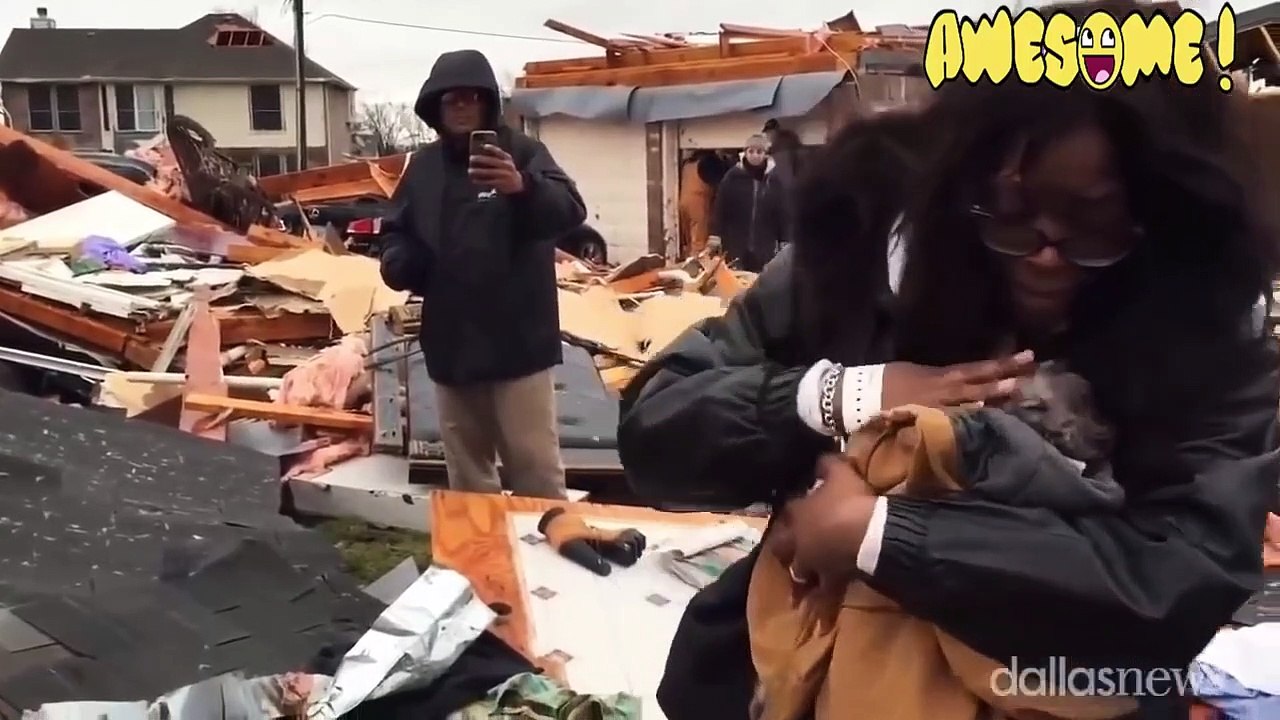 Videos de Animais!  Vídeos engraçados e divertidos! Impossível não rir!