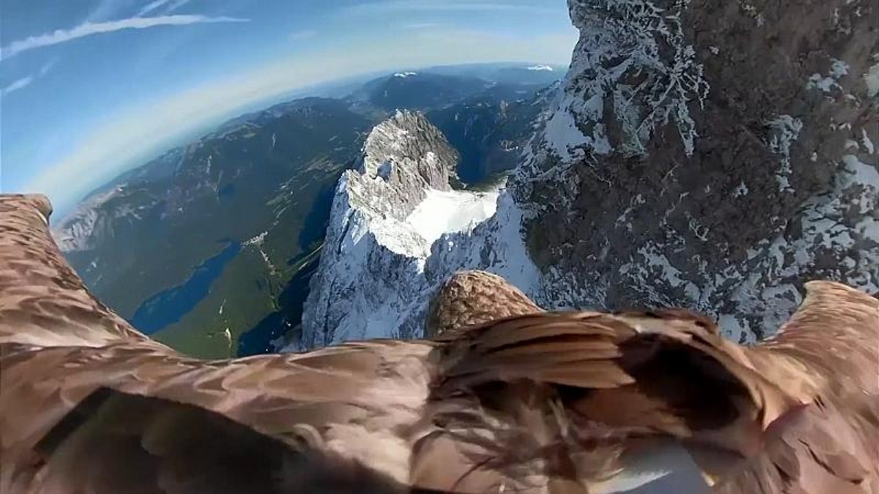 Bir kartalın gözünden Avrupa’da eriyen buzullar