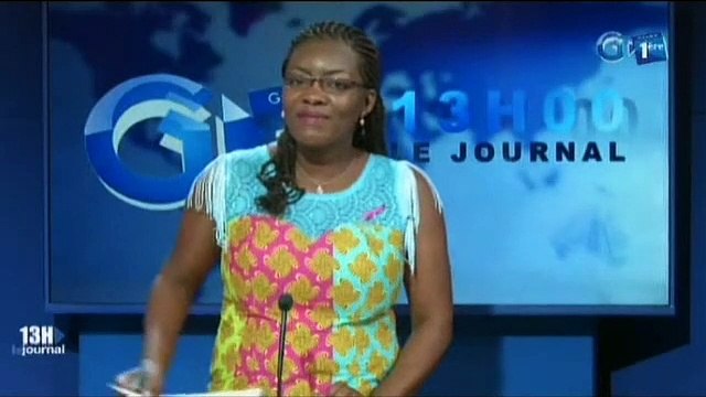 RTG - Le président de l’assemblée nationale reçoit une délégation du fond monétaire international pour le département de l’Afrique