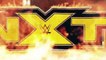Daniel Bryan Retiring?! WWE Main Roster Star RETURNS To NXT! | WrestleTalk News