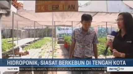 Hidroponik, Siasat Berkebun di Tengah Kota