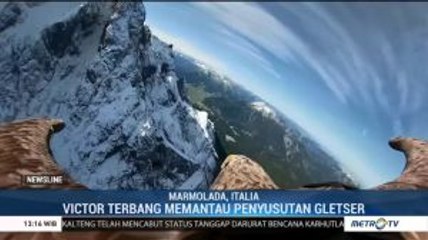 Gunakan Kamera, Seekor Elang Pantau Penyusutan Gletser di Pegunungan Alpen