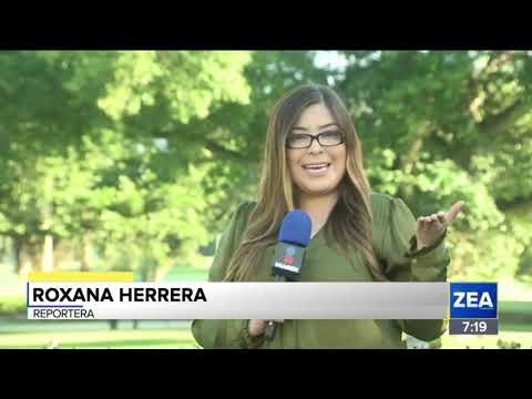 Marysol Sosa por fin pudo ver el cuerpo de su padre José José | Noticias con Francisco Zea