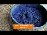Añil orgánico, producto artesanal y mexicano que agoniza; un reportaje de Heraldo TV