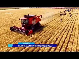 Programa de precios de garantía genera certidumbre a productores agrícolas: Sader