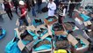 Ship Carrying 12.3 Million Illegally Caught Seahorses Seized By Peruvian Authorities