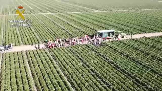 Desarticulada una organización que tenía temporeros en condiciones infrahumanas