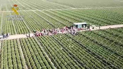 Desarticulada una organización que tenía temporeros en condiciones infrahumanas