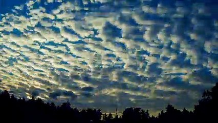 Conférence : "Au fil du temps, retour au soi originel"