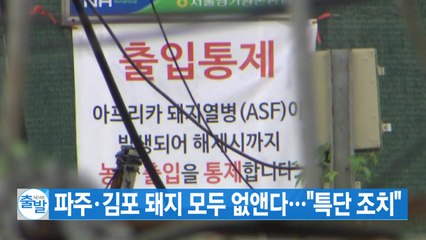 [YTN 실시간뉴스] 파주·김포 돼지 모두 없앤다..."특단 조치" / YTN