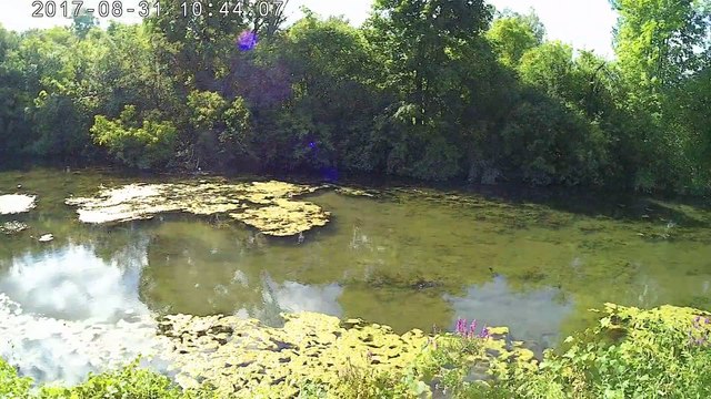 19 Fatima Pilgrimage walk across USA #68 walked 24 miles to get to SUNDAY MASS