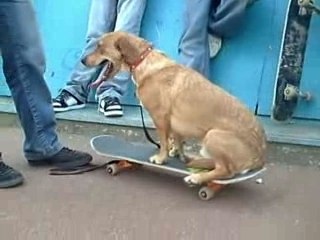 Bande annonce " demi écremé "