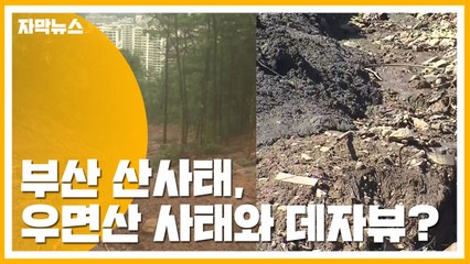 [자막뉴스] 부산 산사태, '우면산 사태' 데자뷰..."막을 수 있었다" / YTN