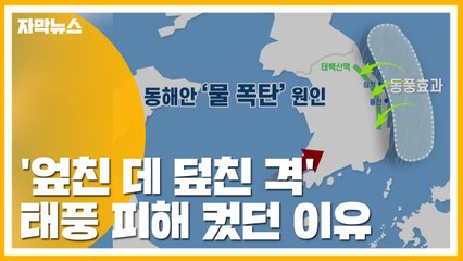 [자막뉴스] '엎친 데 덮친 격' 태풍 피해 컸던 이유 / YTN