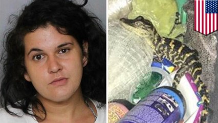 ヨガパンツの中から赤ちゃんワニ…野生動物の不法所持で女を逮捕 - トモニュース