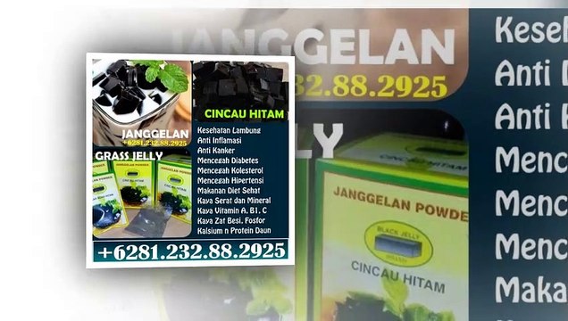 081.23.288.2925, Cincau Hitam Asli, Grass Jelly Healthy, Grass Jelly Japanese