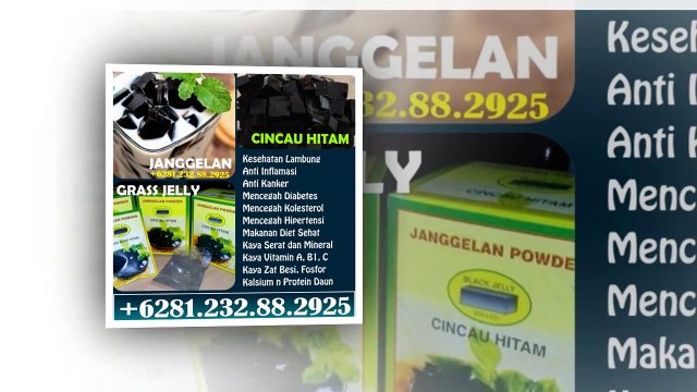 081.23.288.2925, Cincau Hitam Asli, Grass Jelly Japanese, Grass Jelly Powder