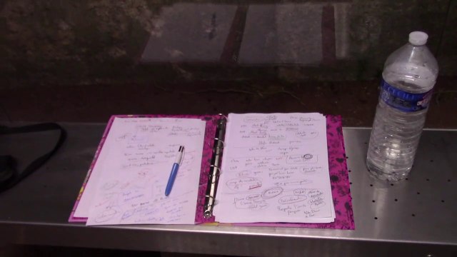 #23 - Greta Thunberg et le battage médiatique autour du réchauffement climatique