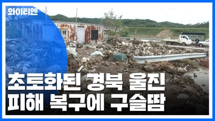 초토화된 경북 울진...피해 복구에 구슬땀 / YTN