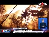 Kebakaran Hutan Gunung Welirang, Satwa Langka Terancam Punah