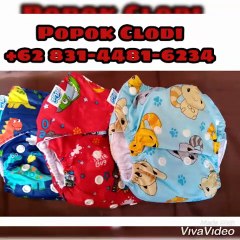 DISKON, WA +62 831-4481-6234 Jual Pampers Cuci Ulang Muntilan
