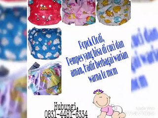 PROMO, WA +62 831-4481-6234 Jual Pampers Cuci Ulang Borobudur