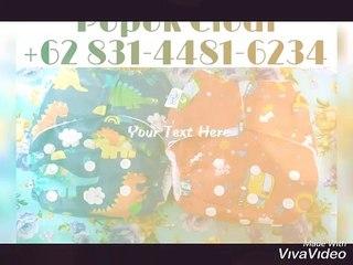 TERMURAH, WA +62 831-4481-6234 Jual Pampers Cuci Ulang Srumbung