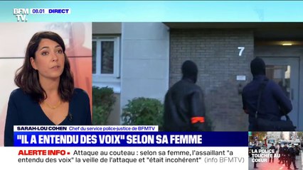 Download Video: Attaque au couteau: selon sa femme, l'assaillant 